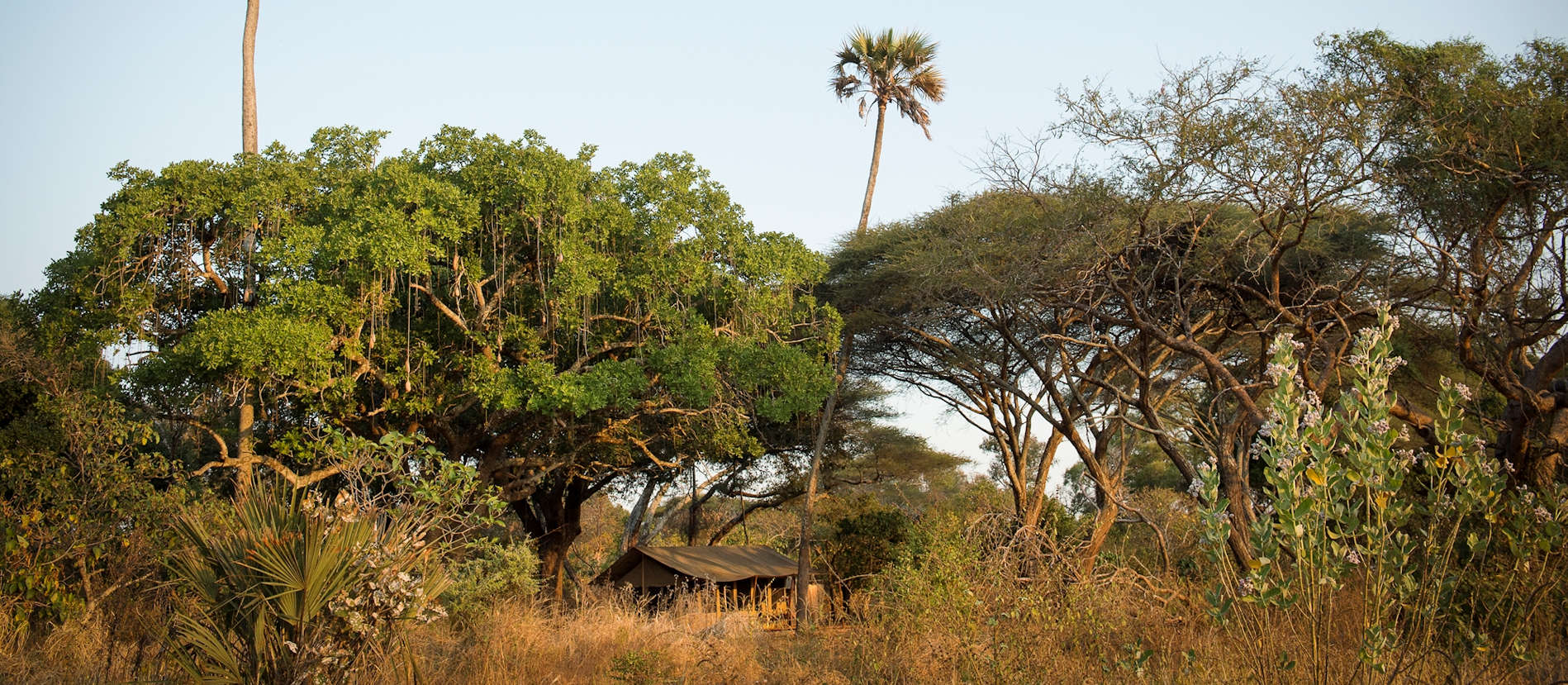 Tansania Safaris Katavi