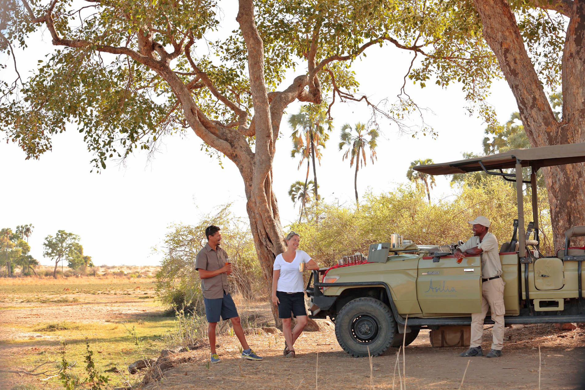 Jabali Ridge Lodge Ruaha Tanzania © Asilia Africa