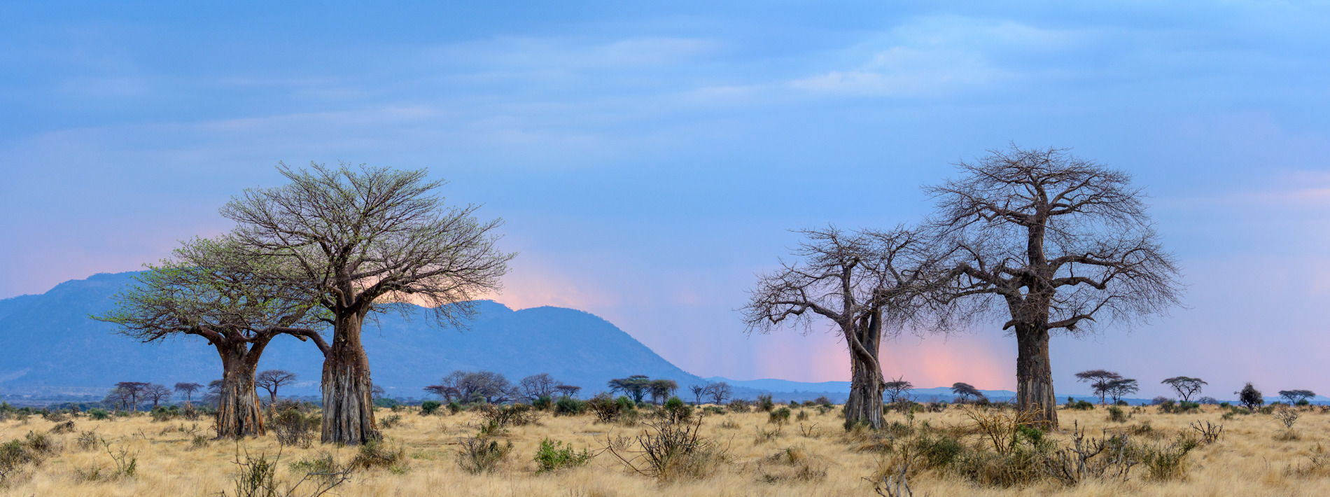Ruaha National Park. Tanzania Jabali Ridge Ruaha Tanzania copyright Roger de la Harpe