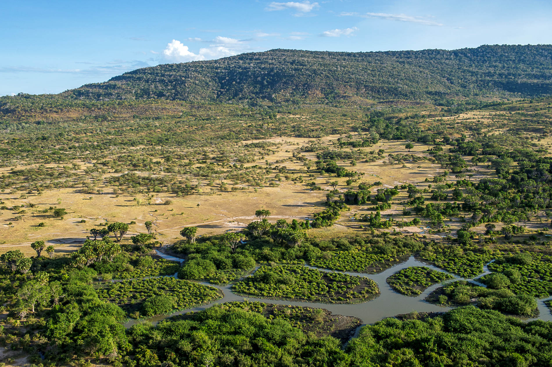 Roho ya Camp Asilia Africa Selous From The Air RR © Robert J. Ross