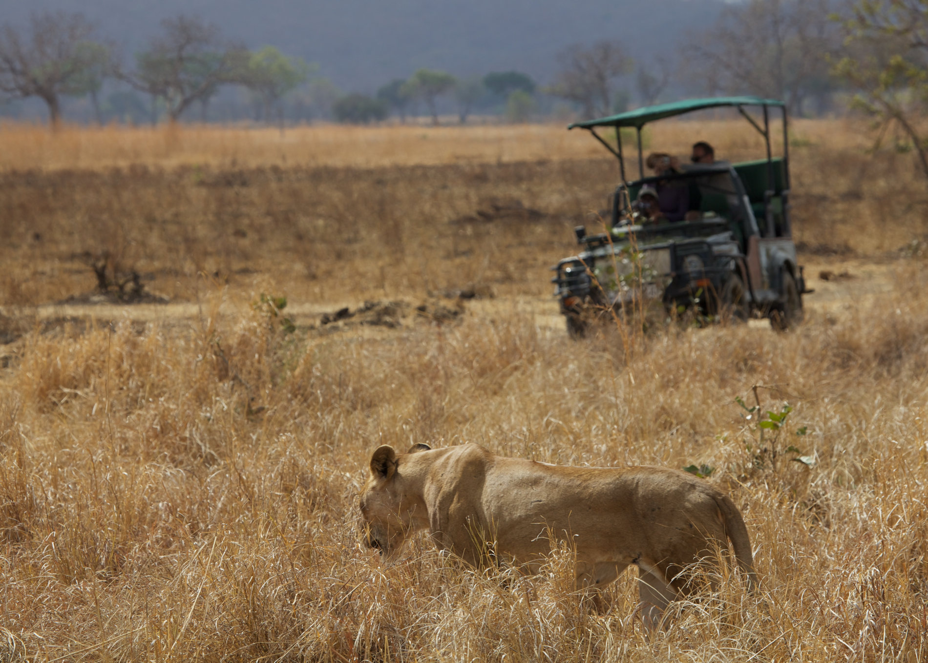 Stanleys Kopje Copyright NilsvanGijn (8) Stanleys Kopje Copyright NilsvanGij