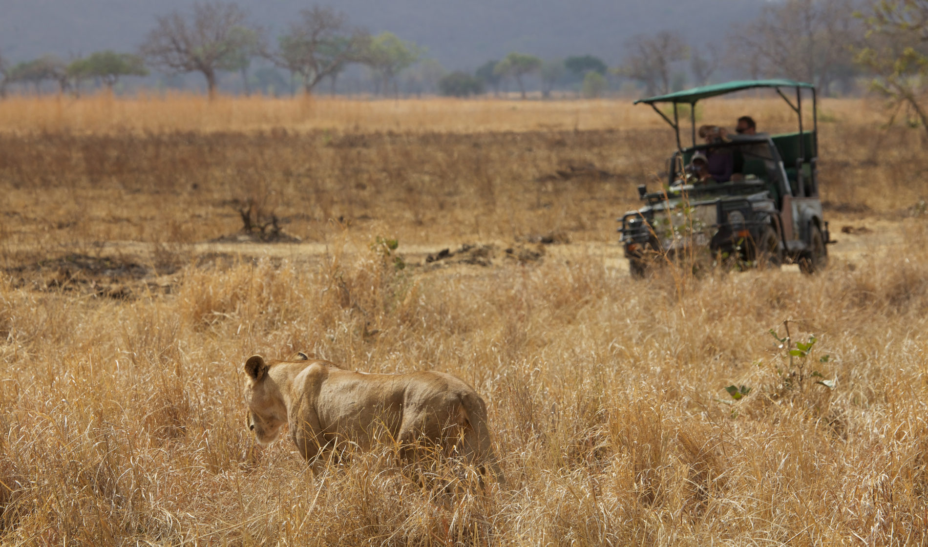 Vuma Hills Tented Camp