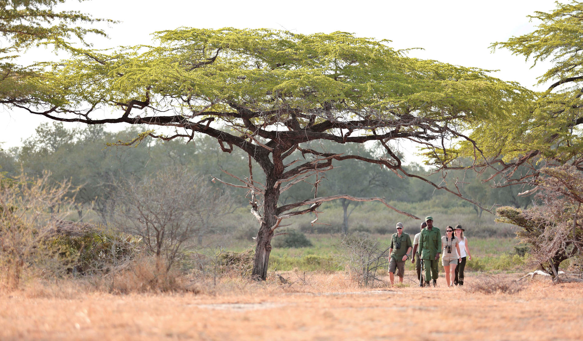 Guided Walks Roho ya Camp Selous Tanzania Asilia Africa