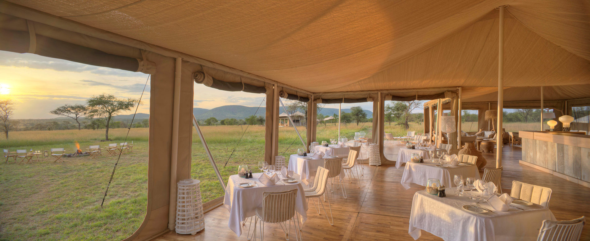 ©Roving Bushtops (9)