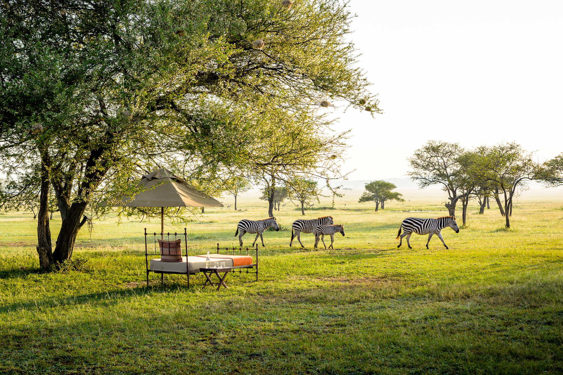 © Singita Sabora Plains Tented Camp - SINGITA