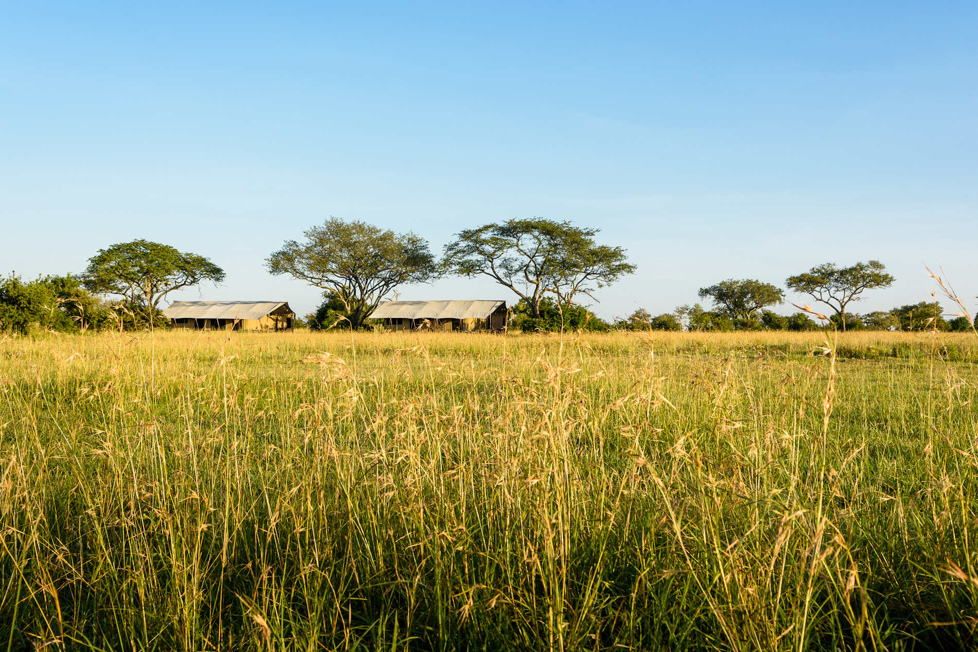 Singita Explore Mobile Tented2019 (5)