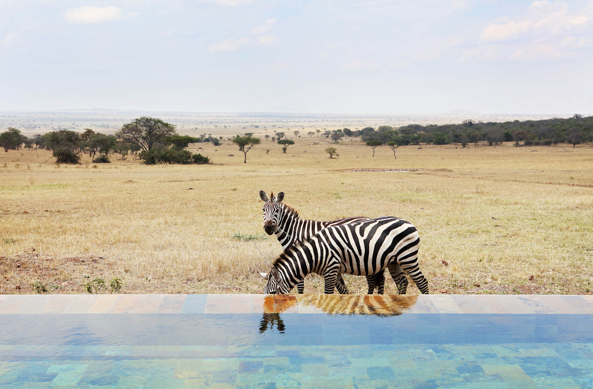 © Singita Serengeti House - SINGITA