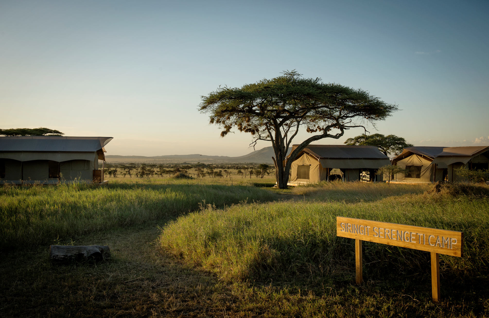 © Siringit Serengeti