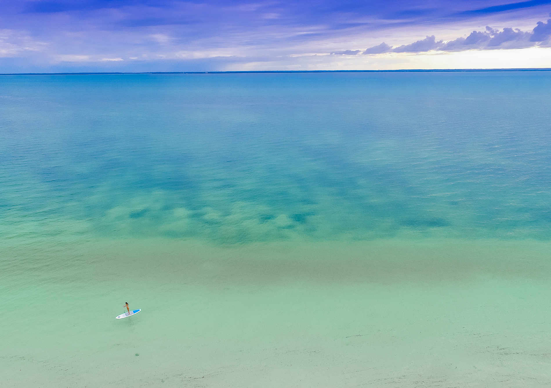 DCIM131MEDIADJI 0050.JPG