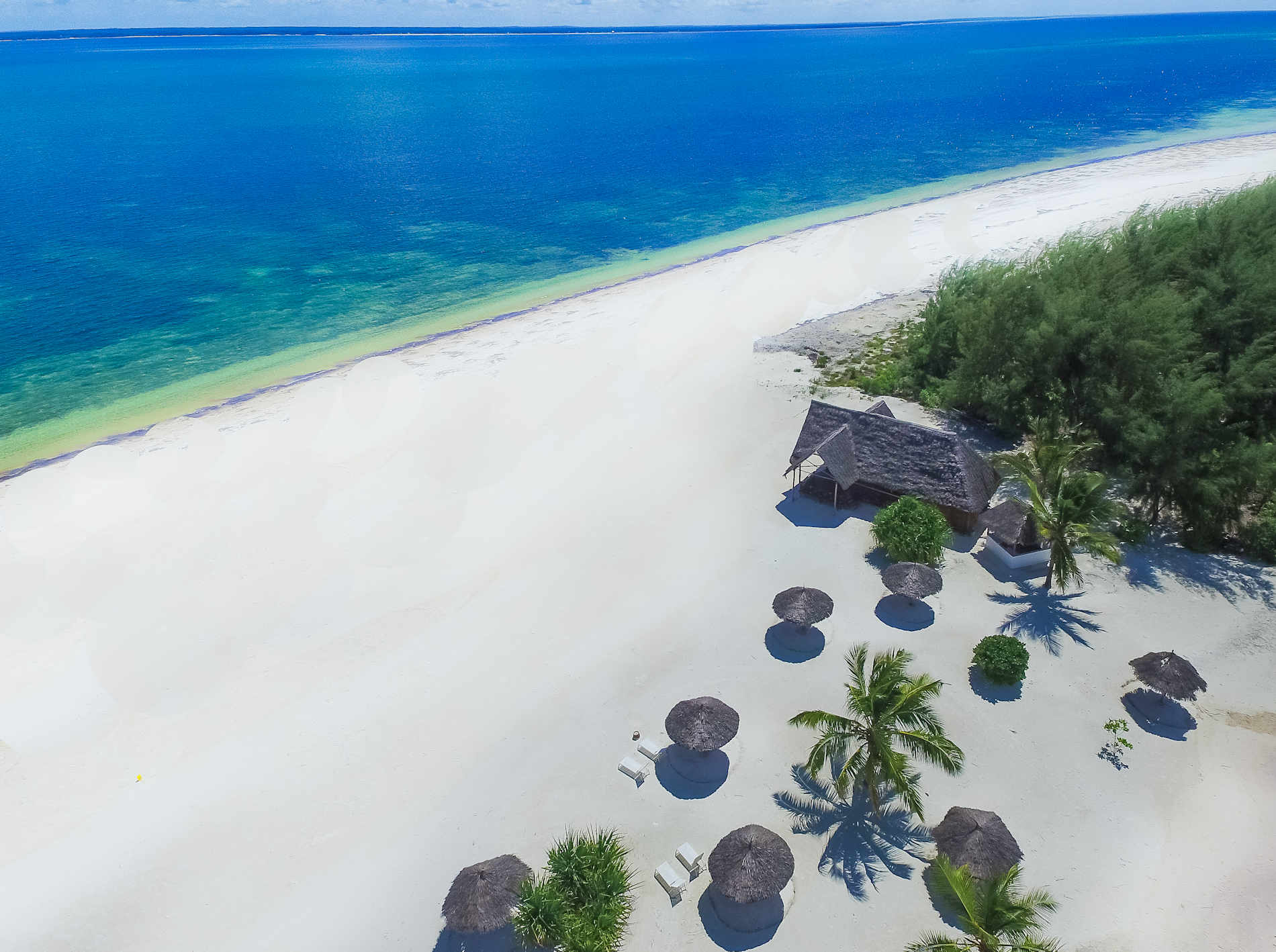 DCIM131MEDIADJI 0031.JPG