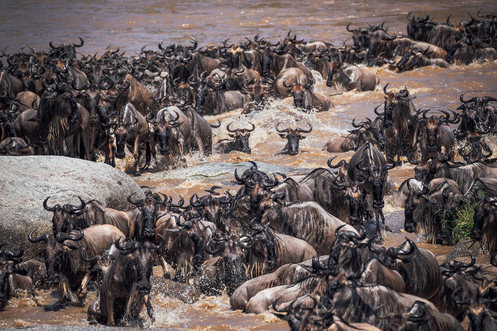 © Kantabile Afrika Aurari Camp (29)