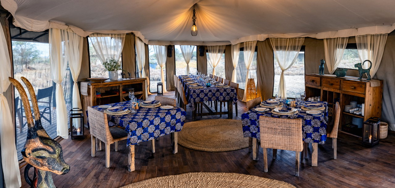 © Martin Harvey Olmara Camp (2)