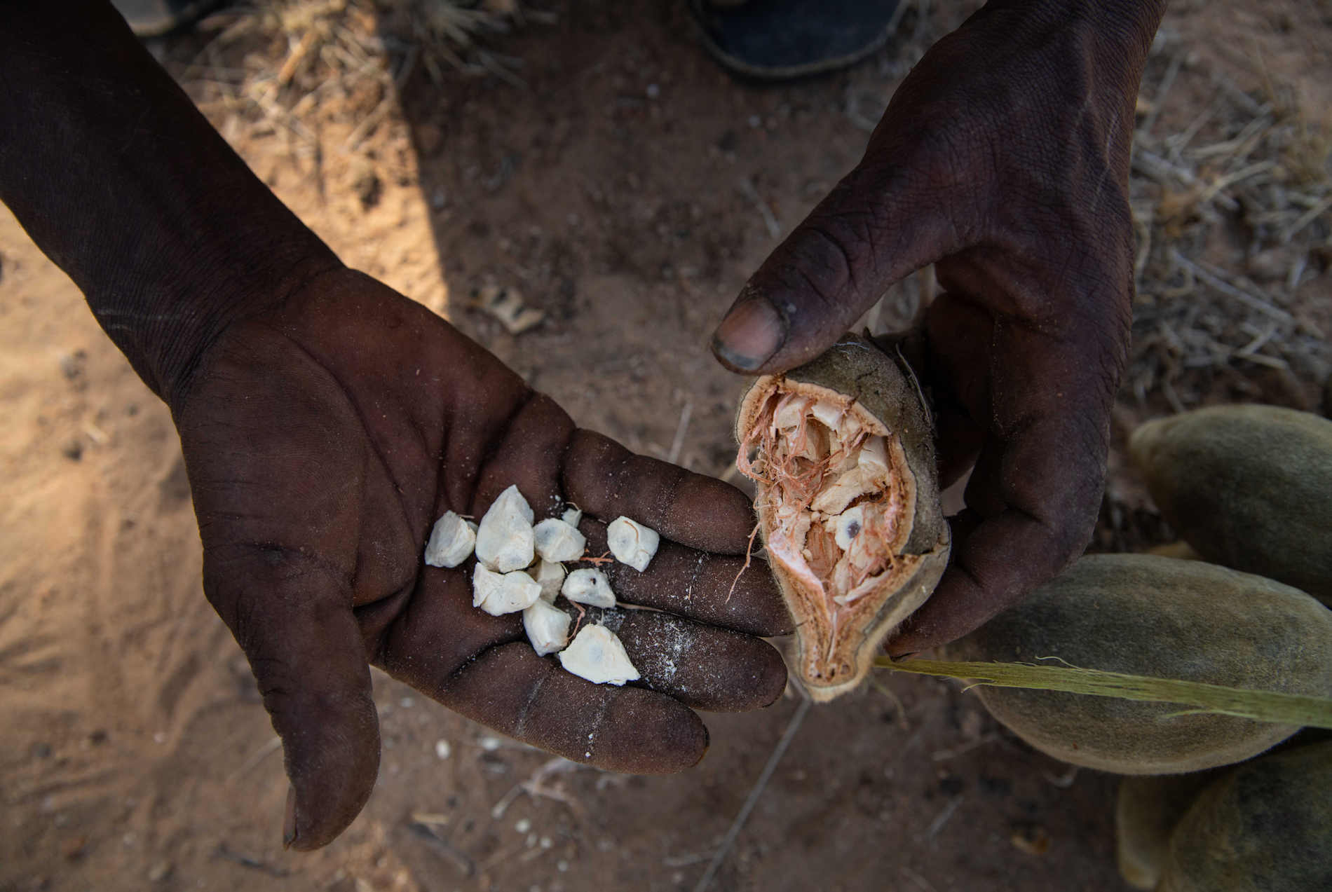 Kisima Ngeda © Entara Lodges (20)