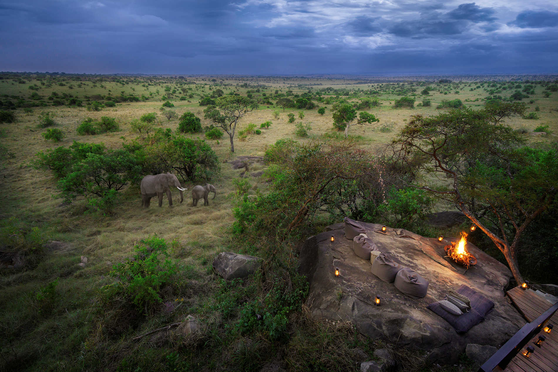 Nimali Mara © Roberta Marroquin 2020 (16)