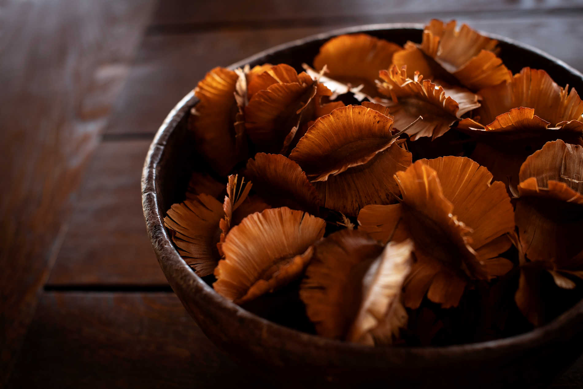 Photo ElizaPowel@OlkeriCamp (13)