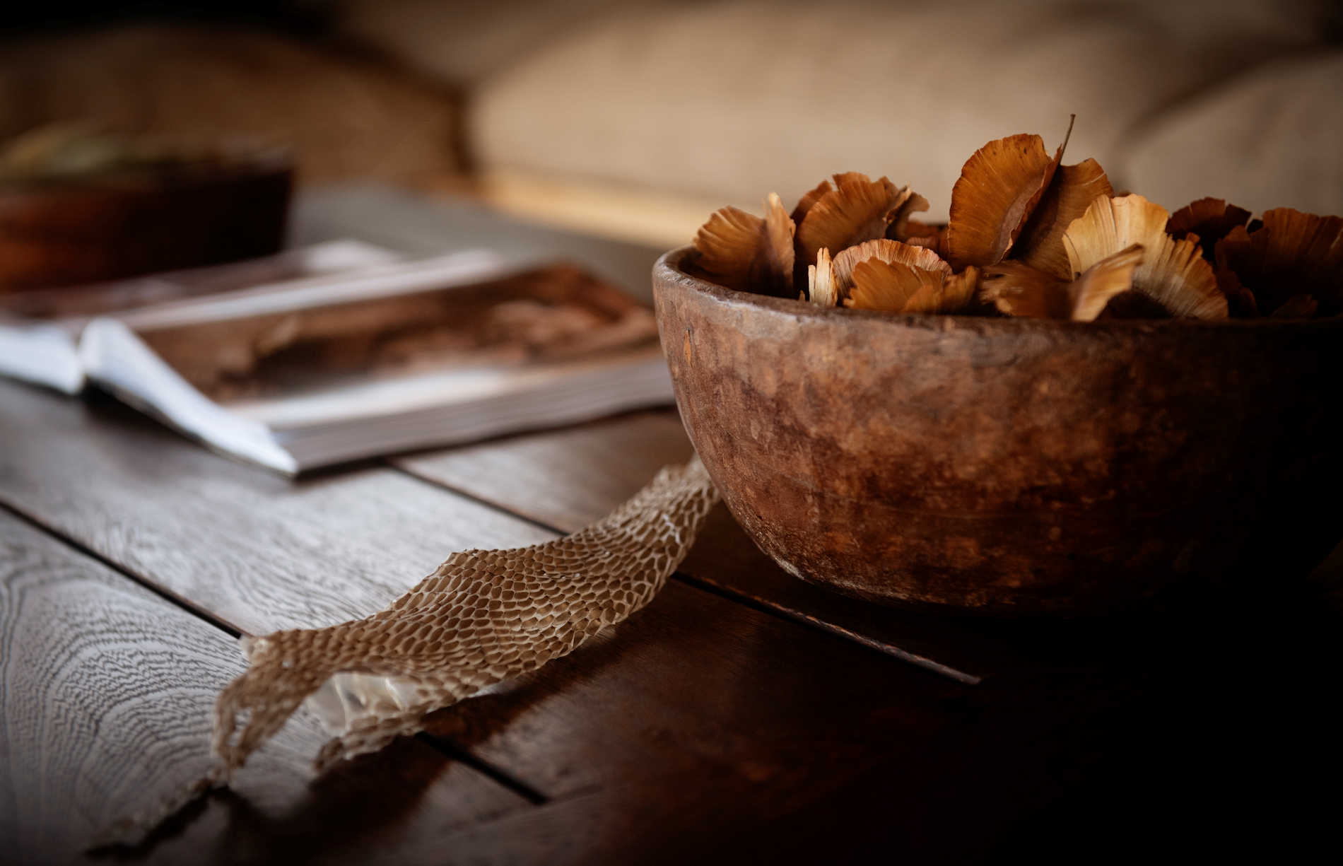 Photo ElizaPowel@OlkeriCamp (40)