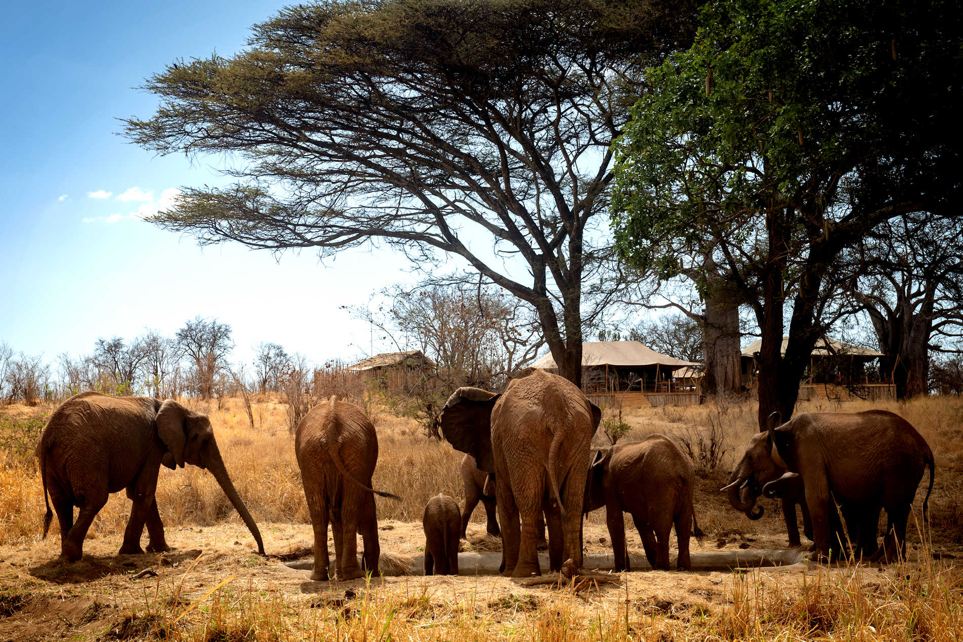 Photo ElizaPowel@OlkeriCamp (51)