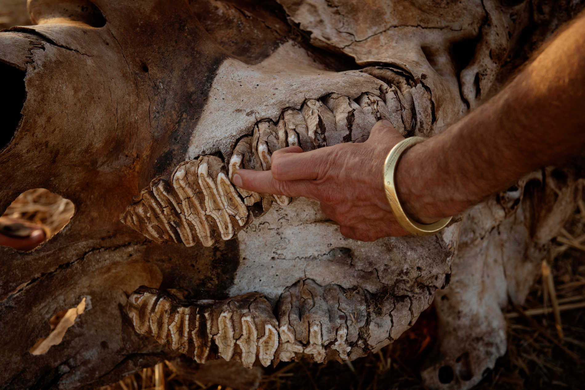 Photo ElizaPowel@OlkeriCamp (7)