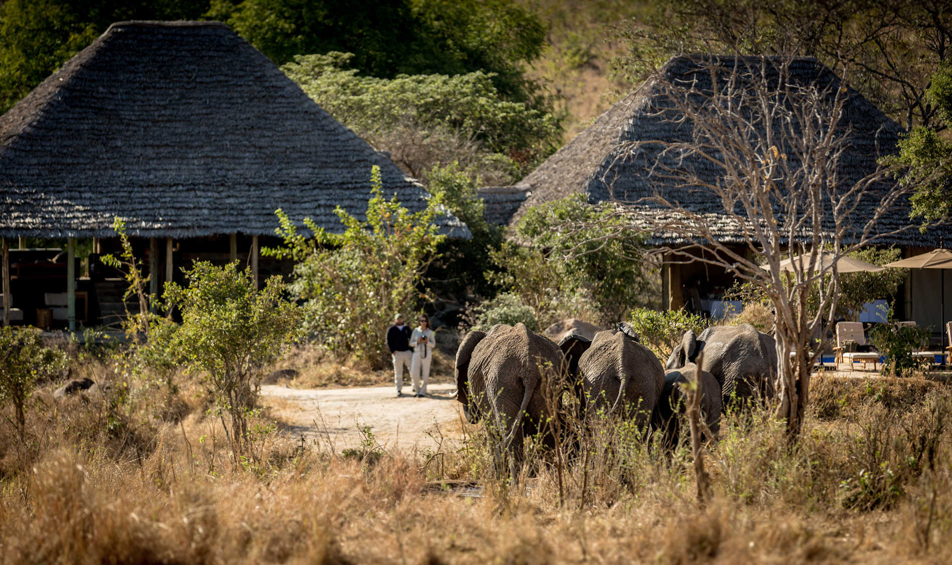 Nimali Tarangire (37)