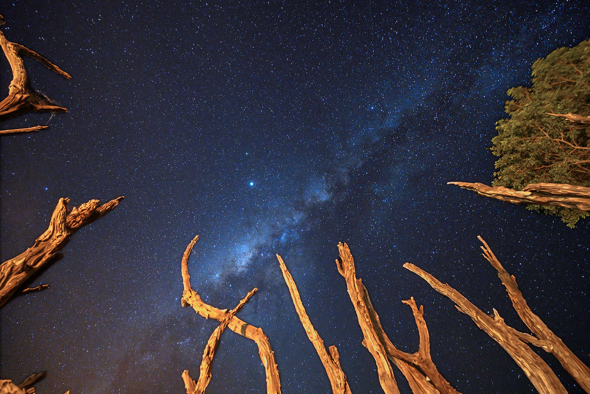 Nimali Tarangire (51)