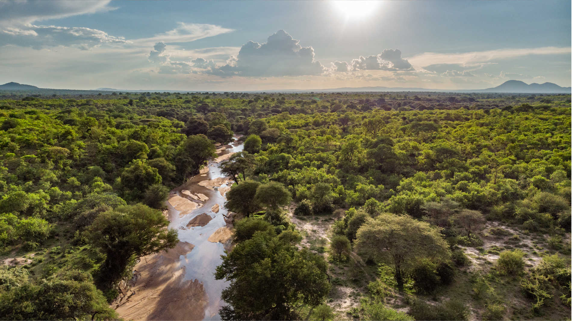 Jongomero Camp © Selous Safari Company (6)