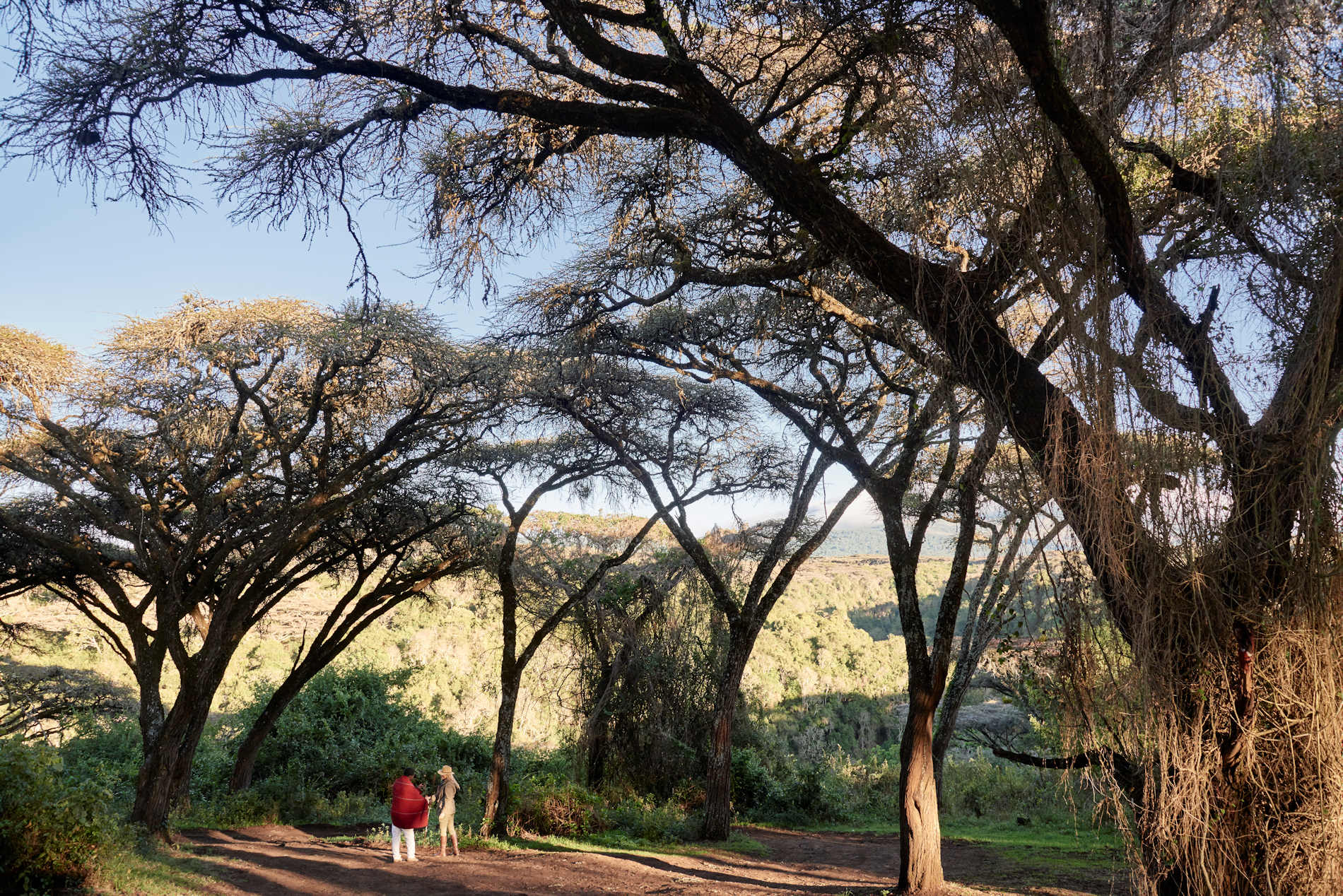 Africa, Tanzania, Sanctuary Ngorongoro Crater Camp