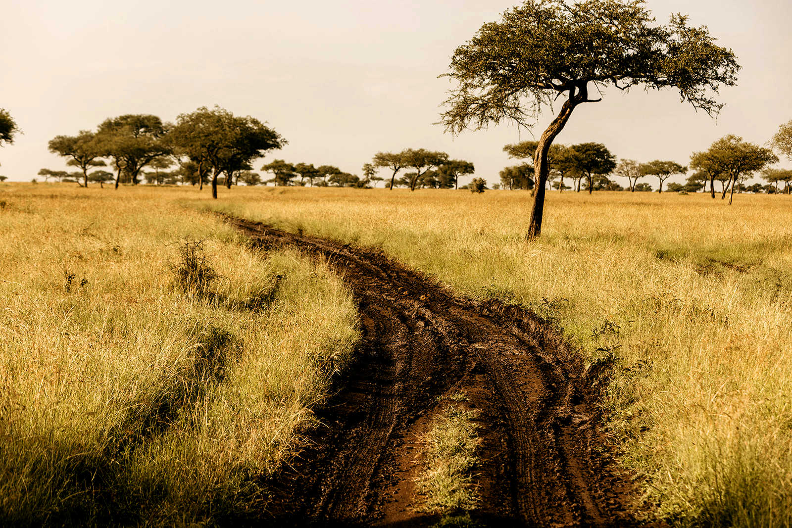 ©Elewana Pioneer Camp (19)