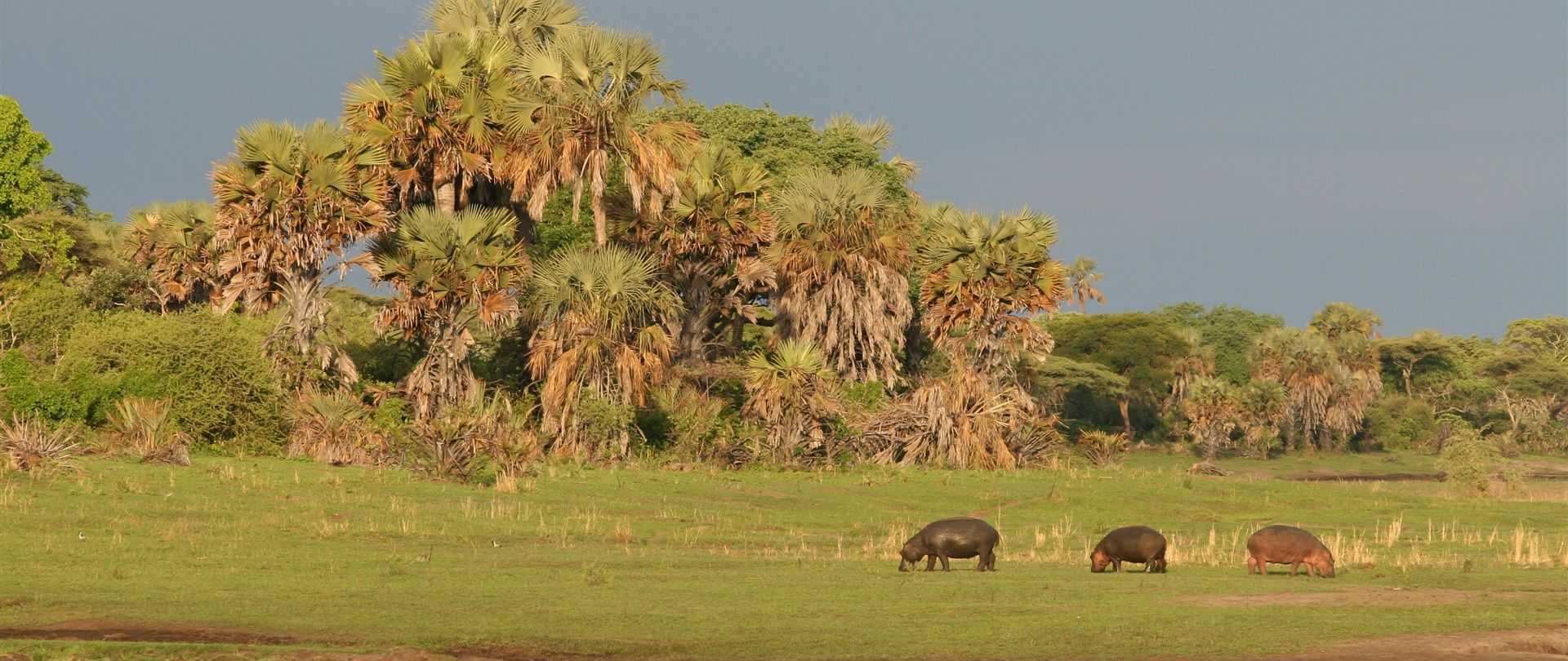 Mbali Mbali Katavi©Mbali Mbali (3)