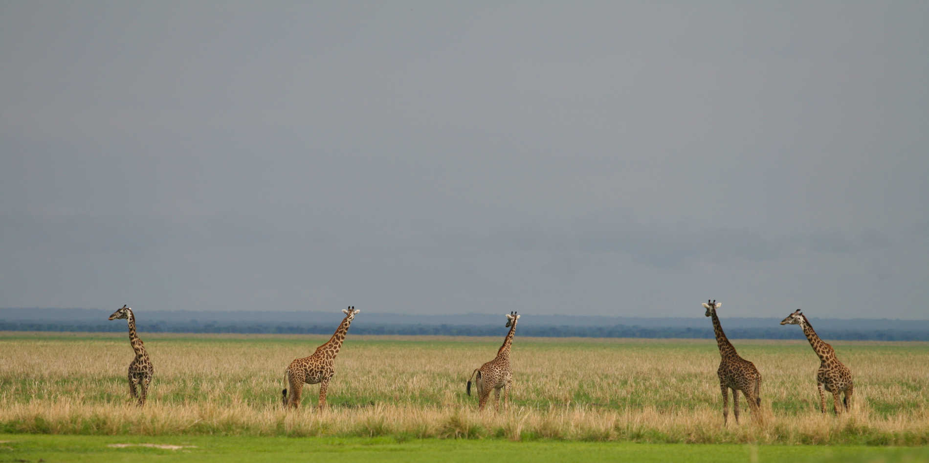 Mbali Mbali Katavi©Mbali Mbali (37)