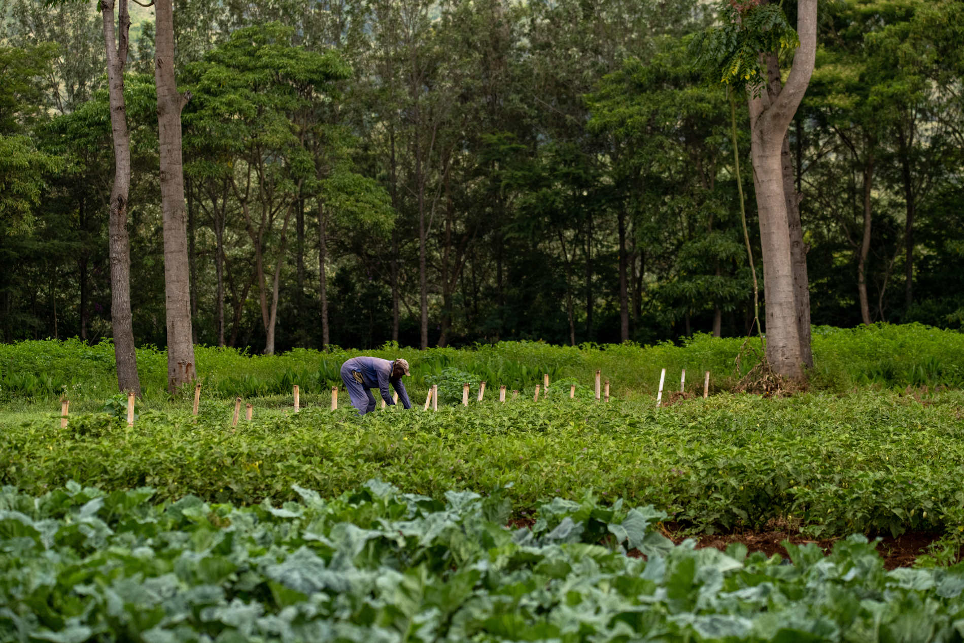 Kitela Lodge © Tanganyika Wilderness Camps (11)