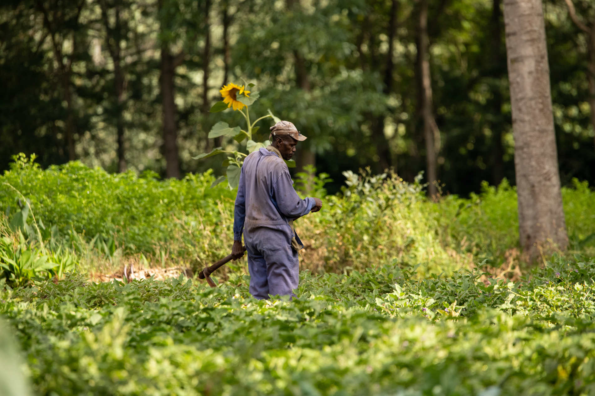 Kitela Lodge © Tanganyika Wilderness Camps (12)