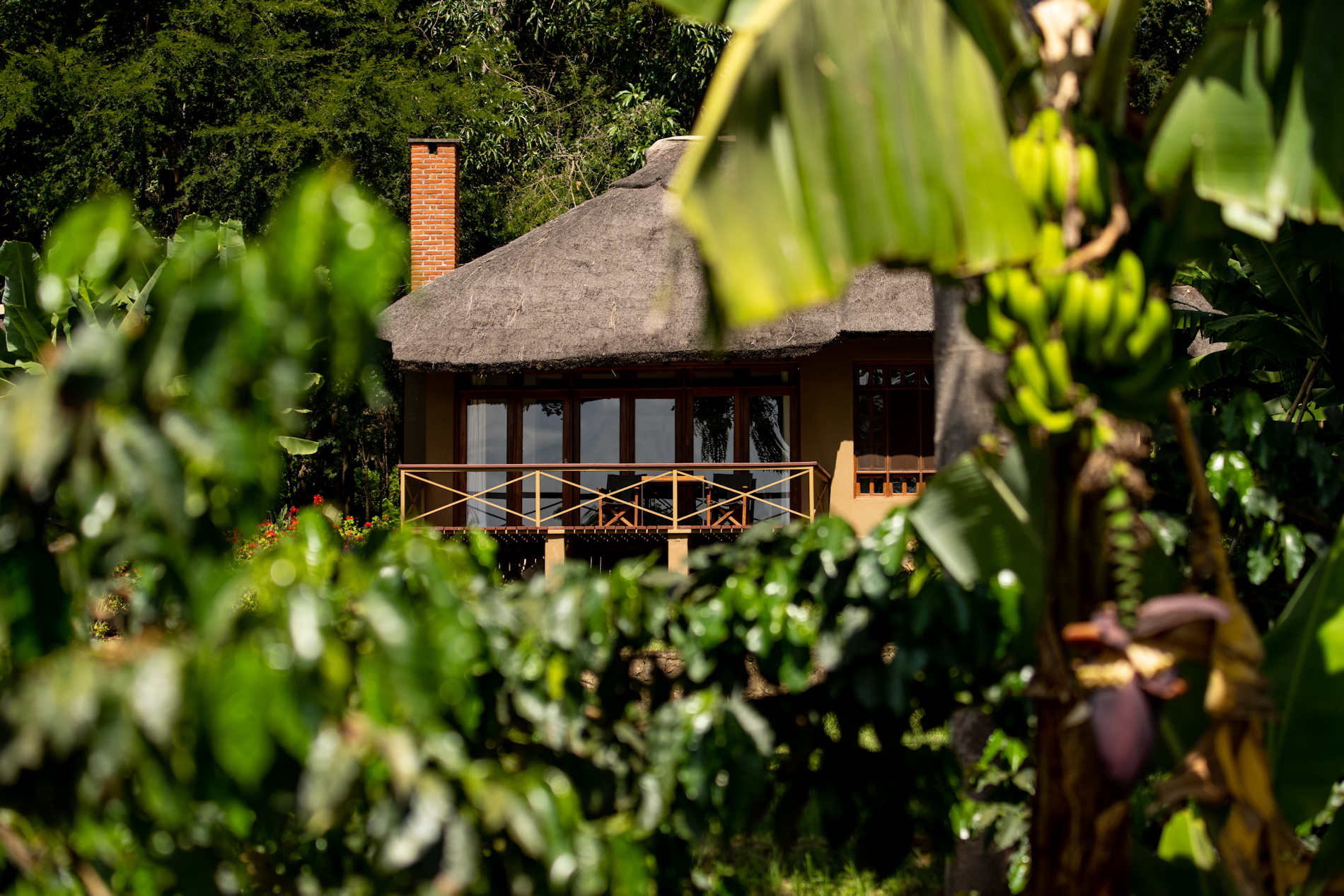 Kitela Lodge © Tanganyika Wilderness Camps (24)