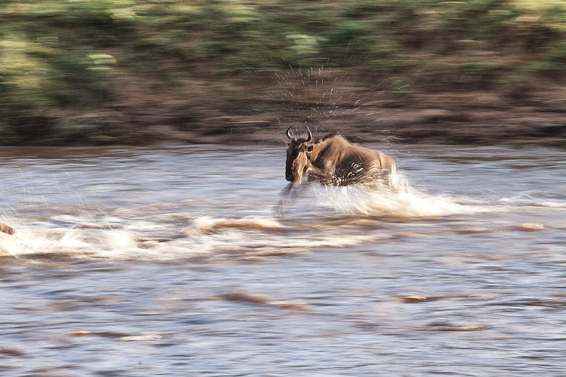 Serian’s Serengeti © Alex Walkers Serian (12)