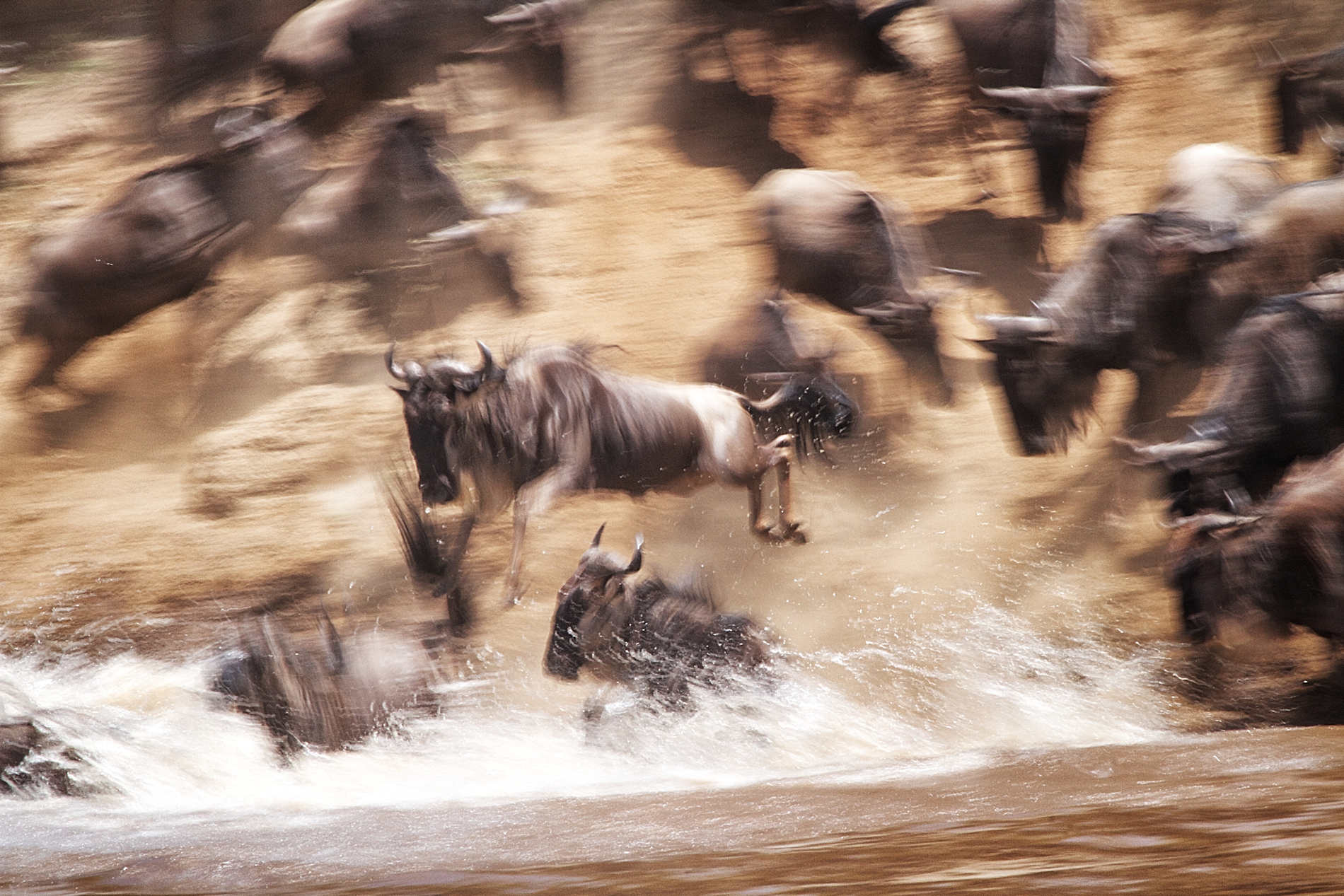 Serian’s Serengeti © Alex Walkers Serian (13)