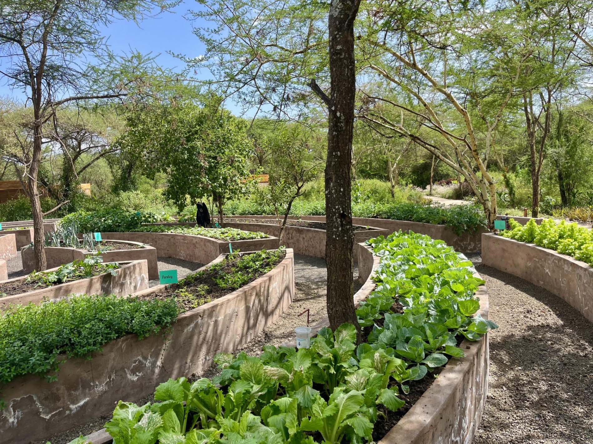 Siringit Villa Arusha © Siringit Collection (5)