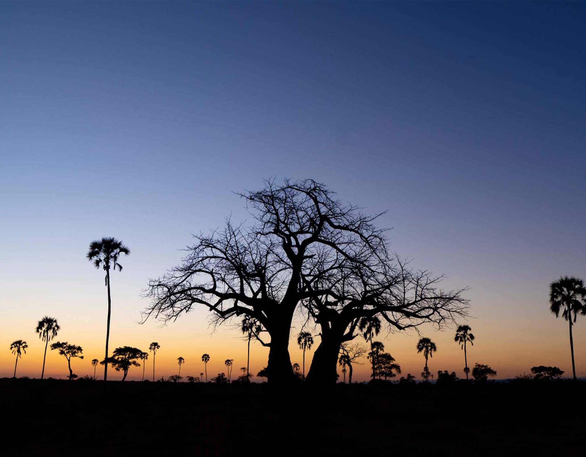 Usangu Expedition Camp © Asilia Africa (39)