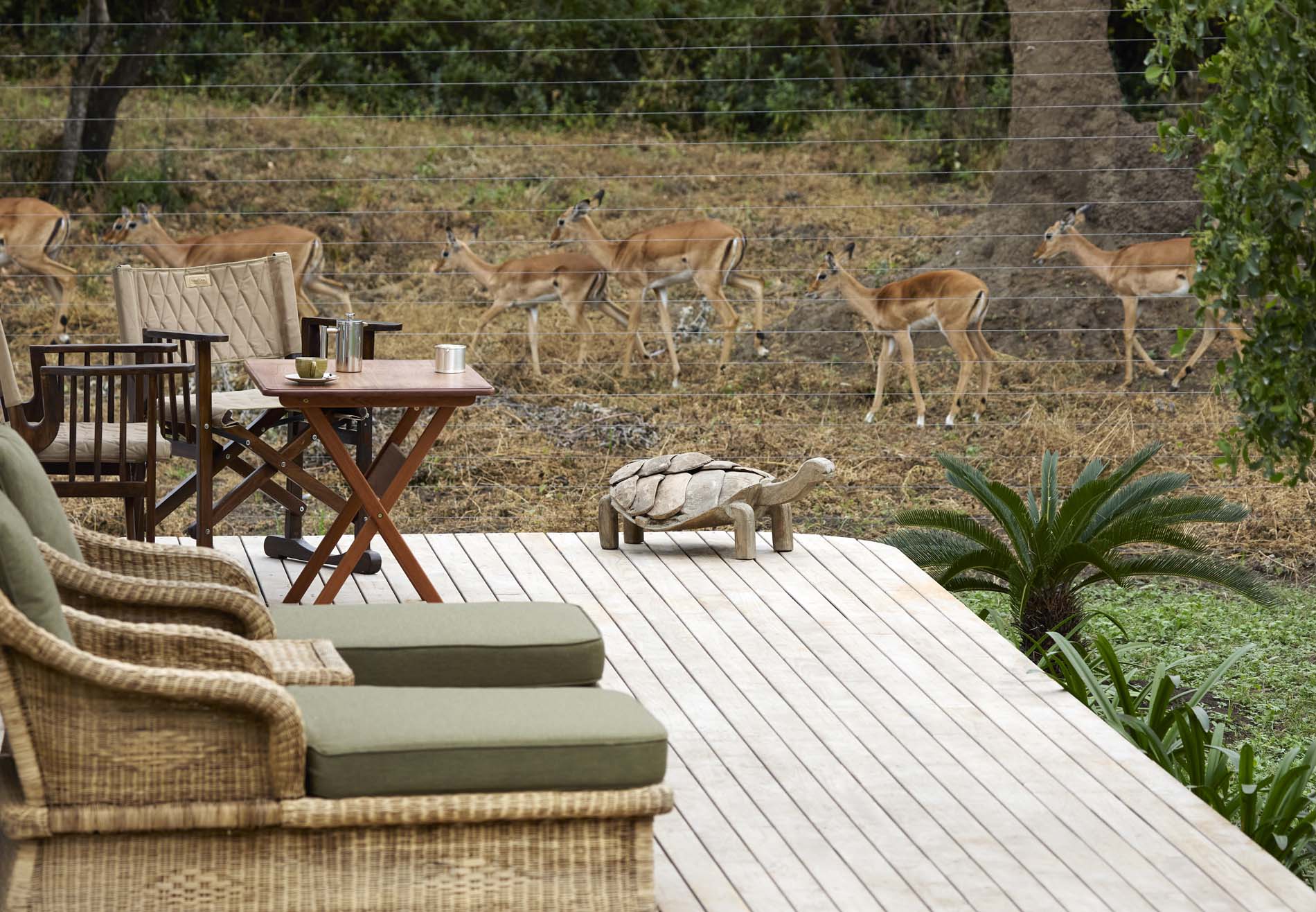 Interiors And Lifestyle Photographer